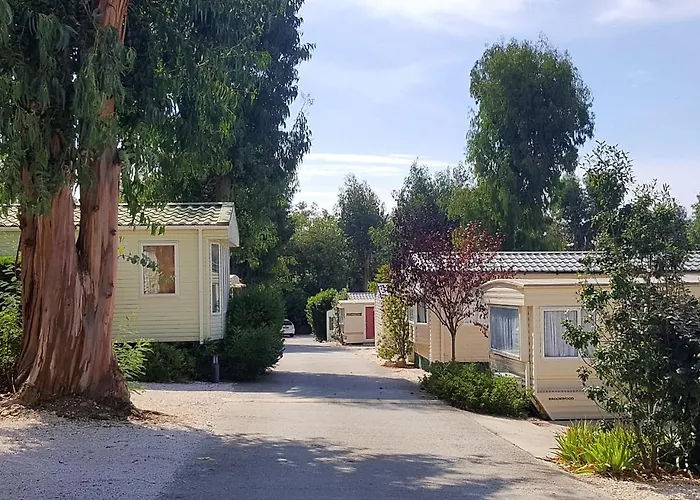 Melrose - Parc Valrose